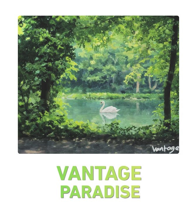 Vantage paradise